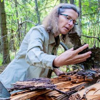 Naturpanelet: Anne Sverdrup-Thygeson