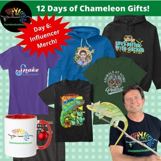 Chameleon Gift Giving Day 6 - Influencer Merchandise