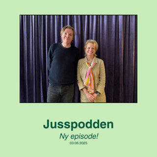 §238 Forbud mot Tiktok vs ytringsfrihet