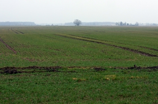 Agrārā reforma Latvijas laukos un tās ietekme uz sociālo struktūru