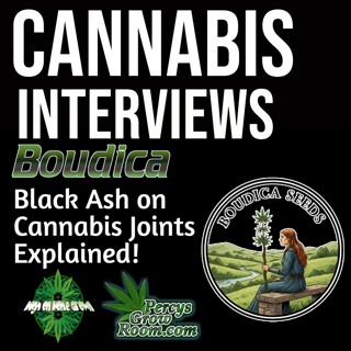 Black Ash on Cannabis Joints Explained – Causes, Myths & How to Get a Better Burn with Boudica Seeds | Interview