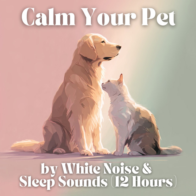 Calm Your Pet by White Noise and Sleep Sounds (12 Hours)