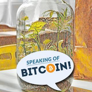 SOB: A Brief History of Bitcoin Tipping (and Where Twitter Fits in It)