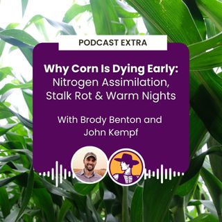 Podcast Extra: Why Corn Is Dying Early with John Kempf & Brody Benton