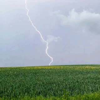 298 Thunderstorm over sonorous rural woodland (warning - sudden shock thunderclaps)