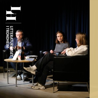 Kunsten å lese Dag Solstad
