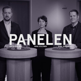 45. Panelen 2022 - Ryska anfallskriget fortsätter