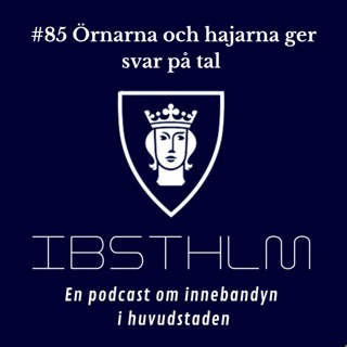 #85 Örnarna och hajarna ger svar på tal