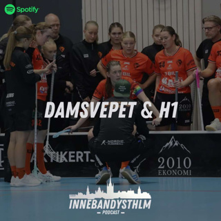 #128 - Damsvepet & H1
