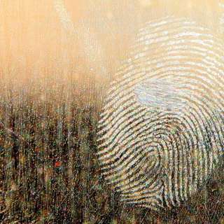 12.10.23 - Like John, We Point to Jesus