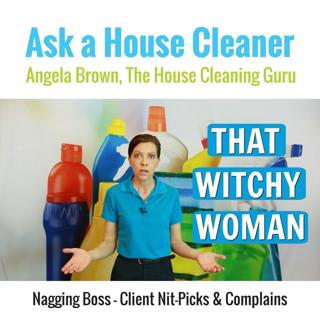 Nagging Boss - Cleaning Client Nit-Picks and Complains
