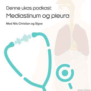 Mediastinum og pleura
