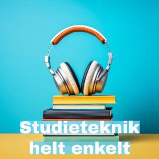 88. Ställ rätt frågor – Intervju som motor i dina studier