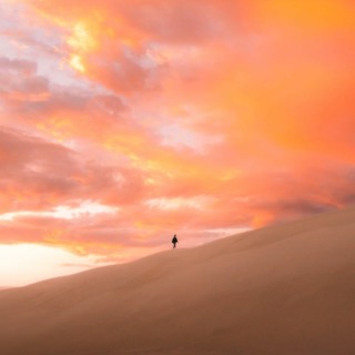 Into The Wilderness