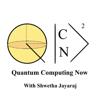 "Choose Your Own Adventure" with Amir Karamlou (Google QuantumAI)