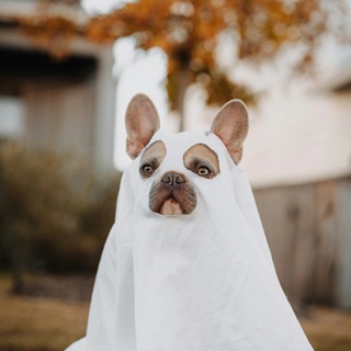Ep11: Do You Believe in Ghosts?