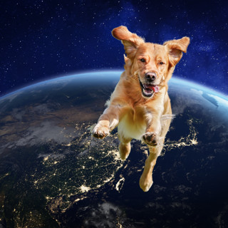 Ten Seconds of Zero Gravity… Every DAY?!