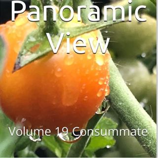 Panoramic View Volume 19 Consummate by Daniel Lucas