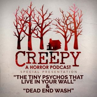 The Tiny Psychos That Live in Your Wall & Dead End Wash