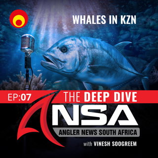 Whales in KZN