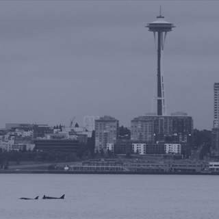 The NPR Politics Podcast — live from Seattle!