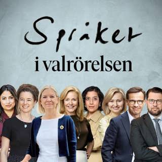 ”Frågan bereds” och andra klassiska sätt att slippa svara