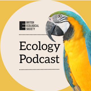Does geography affect life history? A case study in Storks | The story behind the paper
