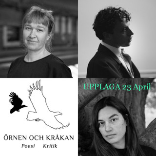 Debutanter av Joni Hyvönen