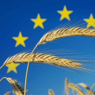 Nye regler for GMO i EU - hva betyr det for oss og maten vi spiser?