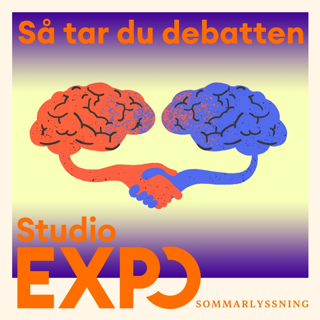 Sommarrepris: Så tar du debatten