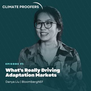 Danya Liu On What's Really Driving Adaptation Markets
