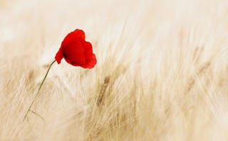 The Ultimate 10 Minute Inclusive Walking Meditation to Reduce Stress and Anxiety