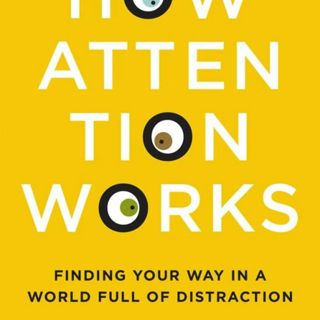 How Attention Works: Finding Your Way in a World Full of Distraction