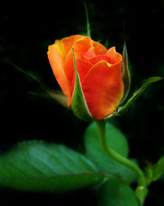 True Humility Brings Wealth
