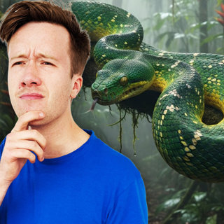 MIDWEEKLY: How Do Snakes Move?🐍💨