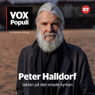 Peter Halldorfs jakt på den enade kyrkan