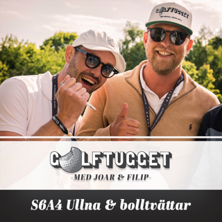 S6A4 Ullna & bolltvättar