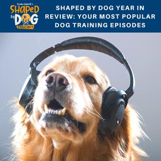 Shaped By Dog Year In Review: Your Most Popular Dog Training Episodes #129