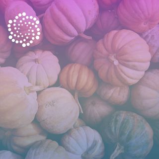 #38: The Science of Gratitude: How It Rewires Your Brain, Your Heart, and Your Energy