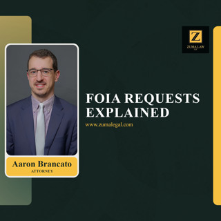 FOIA Requests in Immigration Cases: Why They Matter and What They Can Reveal