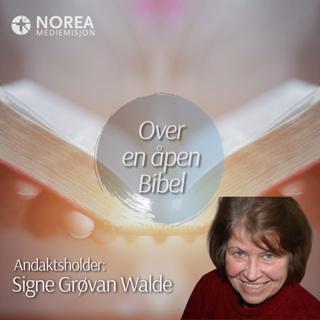 E2525 -5-Signe Grøvan Walde - Og jeg så et lam