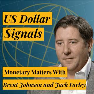 A US Sovereign Debt Crisis is Bullish for the Dollar | Brent Johnson