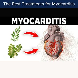 The Best Treatments for Myocarditis