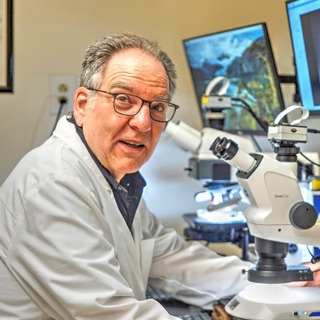 Mark Spear, Lab Director at RMS Fungi (Part 3)