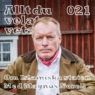 021 Om Islamiska staten med Magnus Norell