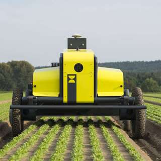 Precision Progress: Advancing Weed Control with AI-Driven Robotics