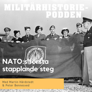 Natos första stapplande år