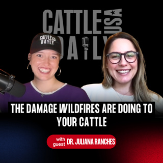 369: The Damage Wildfires Are Doing to Your Cattle with Dr. Juliana Ranches