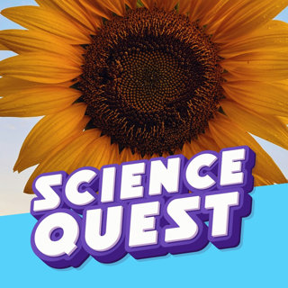 How Do Sunflowers Follow the Sun?