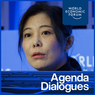 Chinese Economy: Fully Emerged?